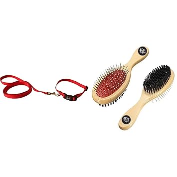 The Pets Company Leash and Collar Set Suitable for Puppies of All Dog Breeds, X Small, Red & Dog Brush Double Sided Comb for Dogs and Cats, Small