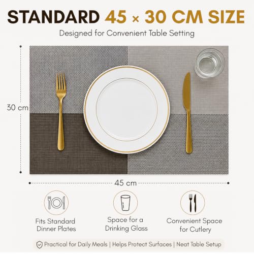 Image of Solitude Set of 6 Dining Table Placemats | Non-Slip PVC Table Mats, Heat Resistant, Washable, Stain-Resistant Surface (Beige & Coffee, 45 x 30 cm)