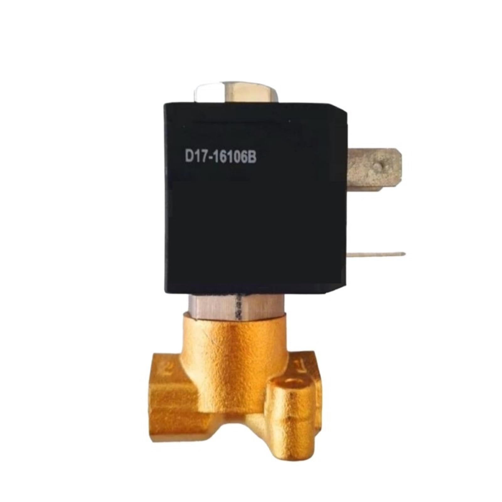 DC24V Solenoid Valve 24VDC AC220V G1/8"(AC220V)