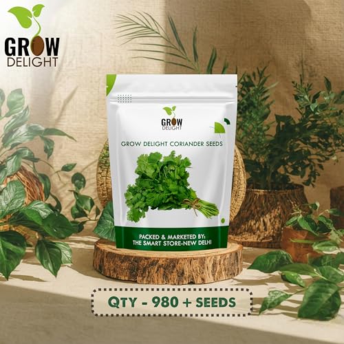 Image of Coriander (Dhania) (980+ Seeds) Vegetable Seeds for Home Garden, Organic & Hybrid, Perfect for Home Gardening, Planting For Pots and Patio