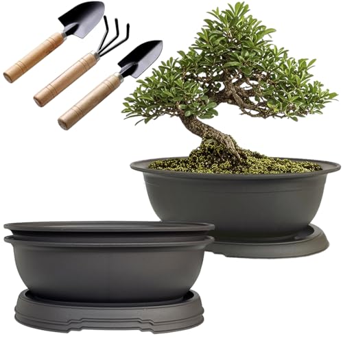 MUZHI 3 Pack Oval Bonsai Pot with Drainage Tray, Matte Finish Plastic Bonsai Growing Planters with Tools for Home Garden Plant Container (9.1' Large)