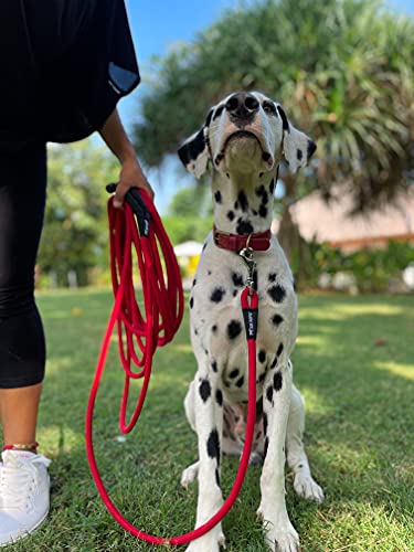 Tuff Pupper Heavy Duty 30 Foot Long Rope Leash For Dogs | Dog Recall Training Leash | High Visibility Strong Climbing Rope Leash | Hand Or Waist Worn | Stainless Steel 360° Clips For Tangle Free Use #TOP7