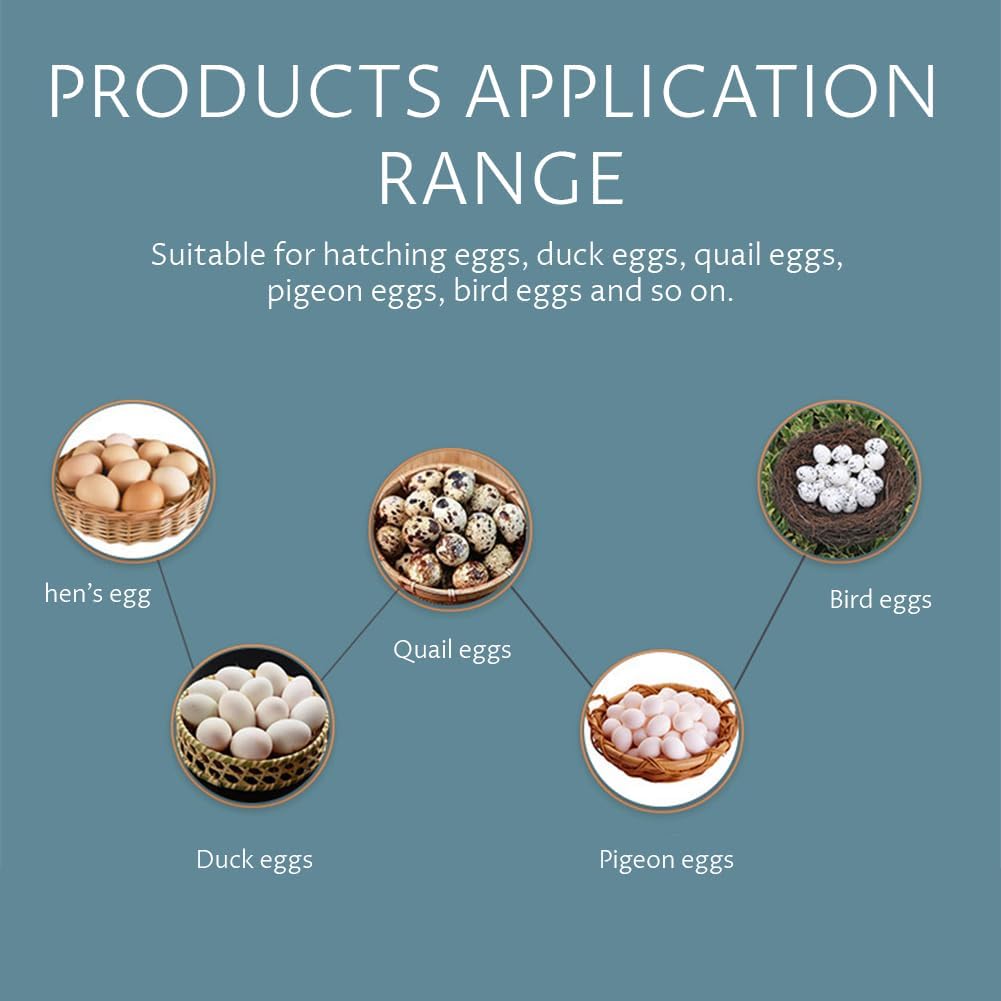 56 Egg Incubator, Automatic and Adjustable Egg Turning, Incubator for Chicken Eggs, for Hatching Poultry Chicken Duck Bird Quail (16.92x16.33x1.81 in Yellow 110V)