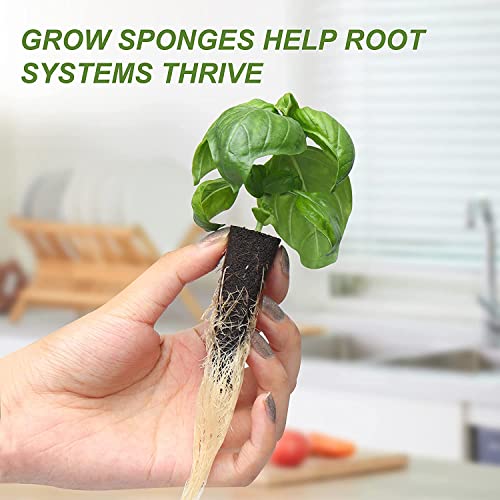 Colorful Hydroponic Planters Kit = 48 Growing Sponges + 6 Hydroponic Planters + Scissors, LAWNFUL Hydroponic Jars as Herb Growing Kit Indoor, Decorative Kitchen Window Vegetable Garden (Kratky Method) - Image 3