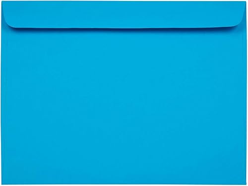 JAM Paper - Sobres de folletos de 9 x 12 pulgadas.