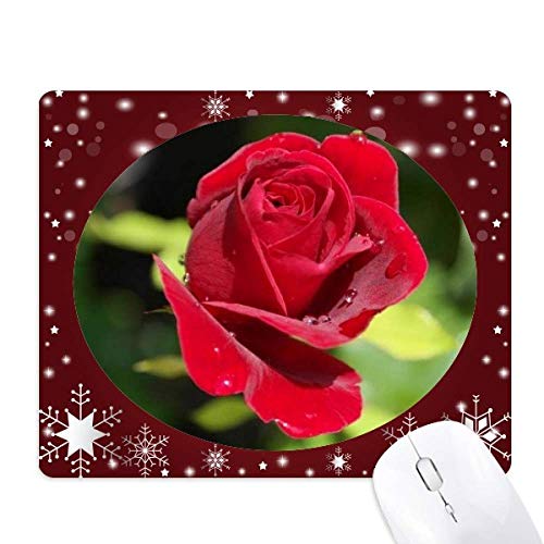 Dark red roses tapis de souris fleurs hiver flocon de neige grand format