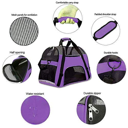 Bolsa de Transporte flexível Cães e Gatos pets avião Roxo Médio GT829 - Lorben