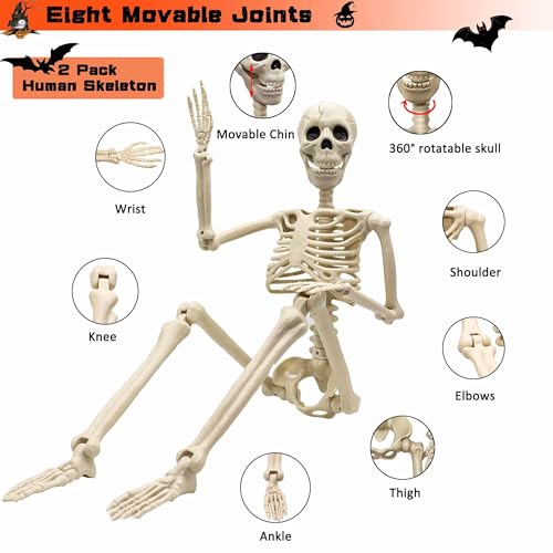 Image of 2 Pack 36 inchHalloween Skeleton - 3 ft Life Size Human Skeleton with Full Body Posable Joints Plastic Skeleton for Halloween Skeletons Decor Yard Patio Lawn Garden Skeleton Props Spooky Party Decoration