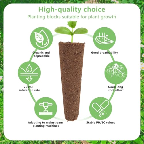 YUE QIN 100 Stück Hydroponic Wachstumsschwämme Ersatz Zuchtschwämme Wurzelwachstumsschwämme Anzuchtschwämme für Hydroponische Hydroponische Anzuchtsysteme Kit für Indoor und Garden