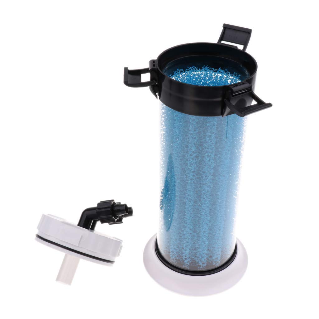 Préfiltre d'aquarium - Éponge externe - Outil de nettoyage pour terrarium et aquarium