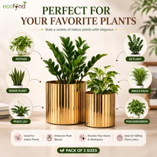 Image of ecofynd 2 Pack Metal Plant Pots (6 inch, 7.5 inch L), Indoor Small Planter Flower Pots, Home Garden Decor Planter for Living Room Bedroom Interior (Gold Finish, POT048)
