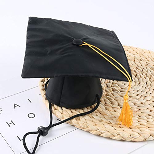 Disfraz de graduación para perro y gato 2 unidades miniatura 6