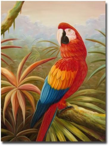 Amazon Rain Forest by Master's Art, 18x24-Inch Canvas Wall Art