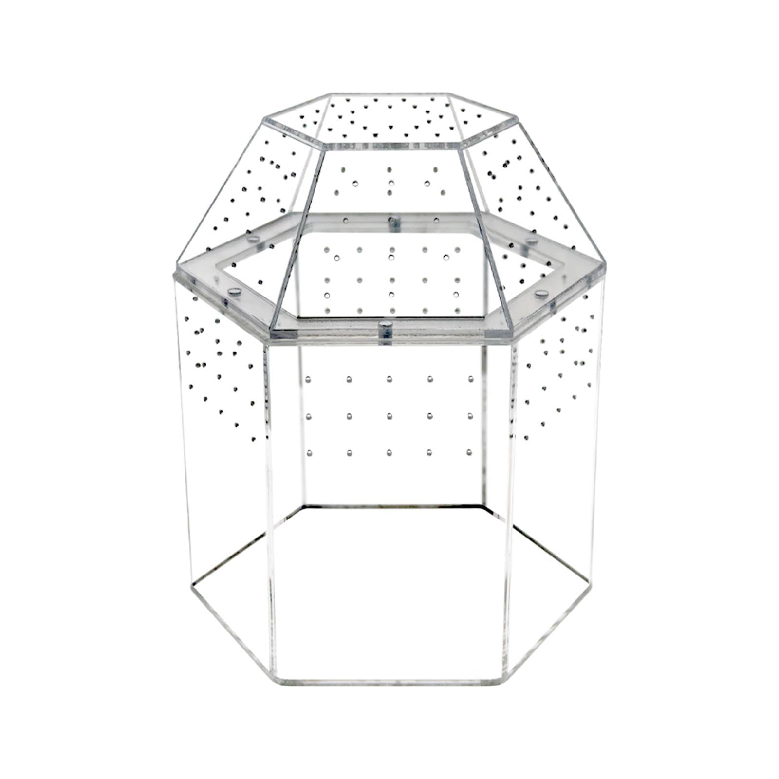 Reptilien Terrarium mit Mehrlochbelüftung, Kleinem Acryl Futternapf, Transparentem Aquarium Und Zubehör – Ideal für