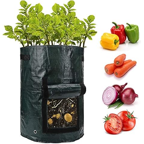 ANPHSIN 2 Pack 10 Gallon Potato Grow Bags with Flap and Handles -Fabric Plant Planter Pots for Tomato Planting Vegetable Growing Outdoor Container Cover