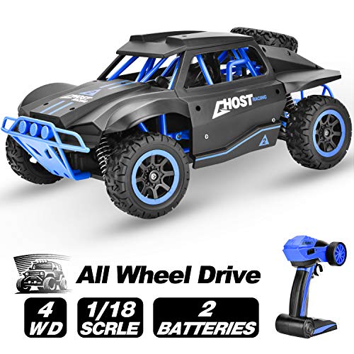 Rainbrace RC Cars 4WD Remote Control Car All Terrain 1/18 High Speed RC Crawler Trucks Vehicle Off Road RC Racing Cars Toys for 8+ Years Old Boys Kids Adults (Random Colors)