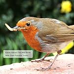 20lbs Mealworms, High-Protein Dried Mealworms for Birds, Chickens, Turtles, Fish, Hamsters and Hedgehogs, Non-GMO and Chemical Free, All Natural Animal Feed - Image 4