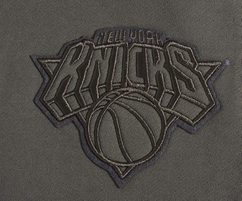 Image of Pro Standard Mens NBA Neutral Pull Over Hoodie