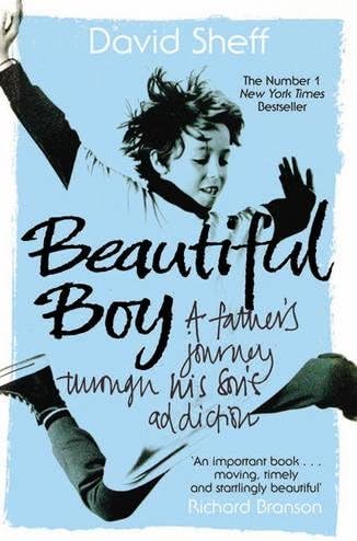 Beautiful Boy: A Father's Journey Through His Son's Addiction Paperback – 5 Jan. 2009