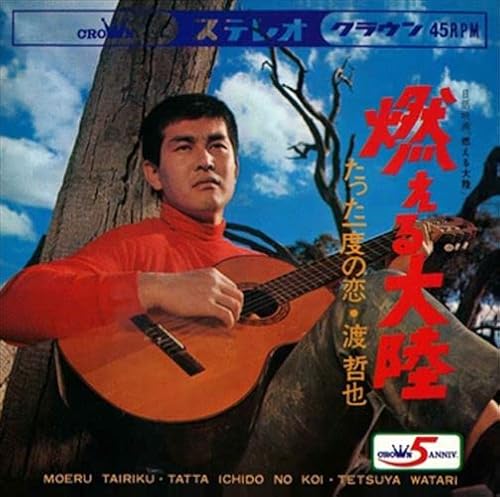 たった一度の恋(tattaichidonokoi)