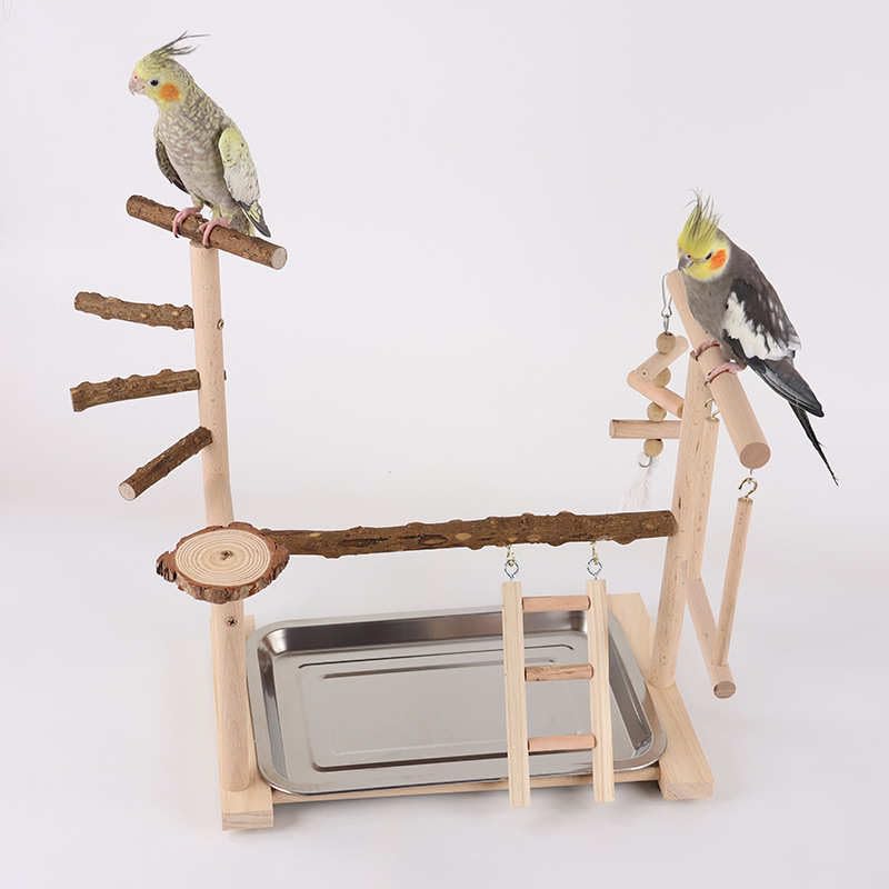 Holz Papageien-Spielständer – natürlicher Vogel-Kletterbaum mit Leiter & Schaukel – Robustes Spiel- & Trainingsparadies für Wellensittiche, Nymphensittiche, Papageien