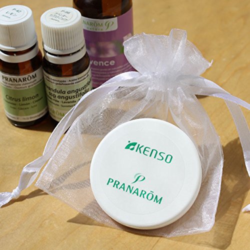 Amazon.co.jp: 健草医学舎 (KENSO ケンソー) アロマストーン (携帯用