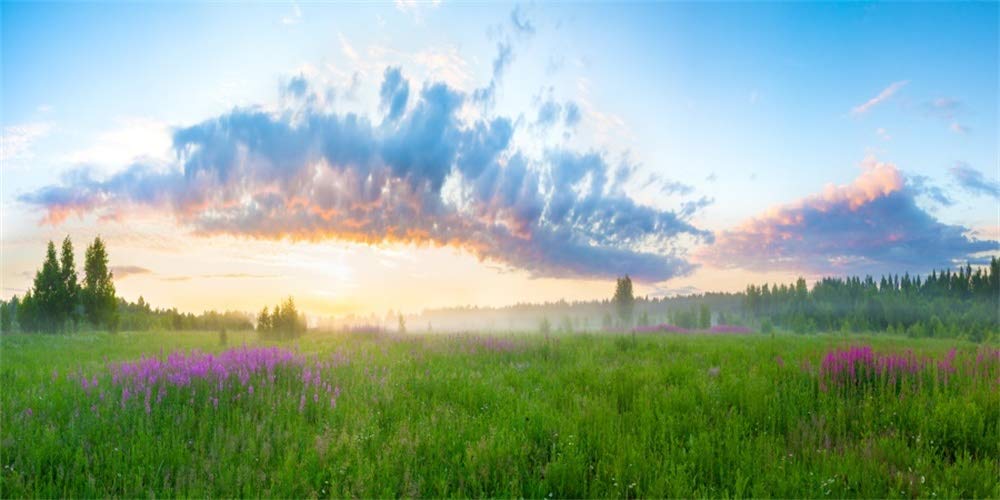 Yeele 20x10ft Vinyl Spring Summer Landscape Backdrop for Photography Rural Sunrise Field Meadow Wildflower Grass Background Banner Kids Children Photo Booth Shoot Studio Props