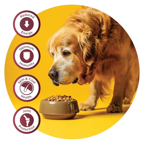 Image of Fidele+ Dry Dog Food 1 Kg Senior & Overweight Dogs Complete & Balanced Diet Supports Weight Control, Joints & Immunity No Artificial Flavours, Preservatives