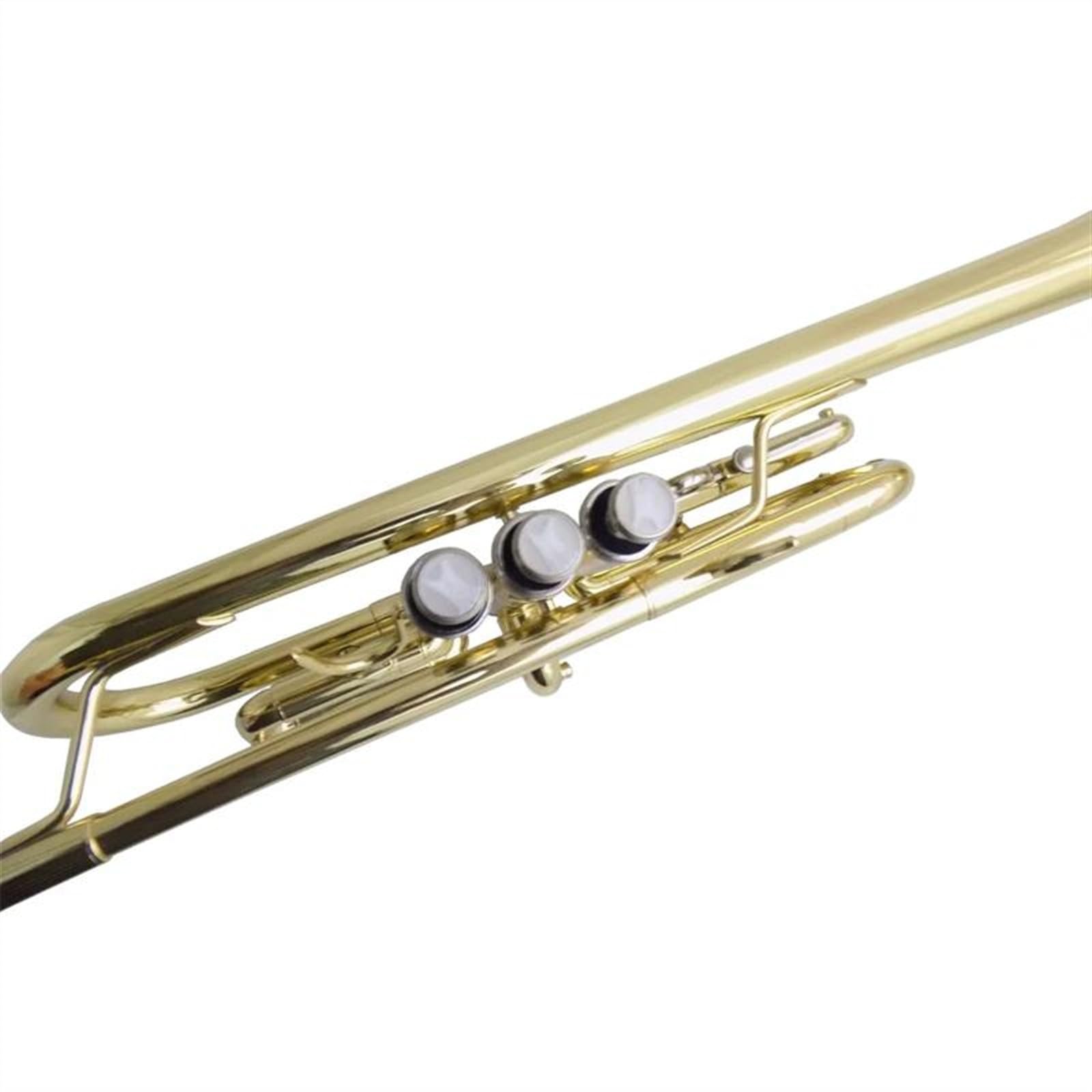 Re:VIBRATION【YELLOW BRASS】for Trumpet Amazon.com: Set Trumpe C Flat Trumpet Instruments Yellow Brass