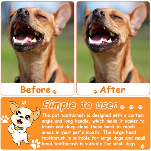 Image of Honeydak Dog Toothbrush Bulk Dual Headed Dental Brushes Dogs Tooth Brushing Kit Long Handle Pet Tooth Brush for Puppy Large Small Cats and Most Pets Teeth Cleaning Dental Supplies(70 Pcs,Multicolor)