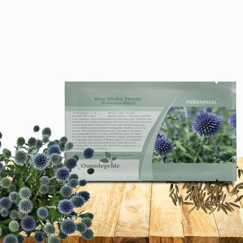 Outsidepride Blue Globe Thistle Seeds - 500 Pcs Perennial, Drought Tolerant & Self-Seeding, Flower Seeds for Planting w/Thistle-Like Foliage & Vibrant Purple Blooms, Ideal for Xeriscaping Gardens