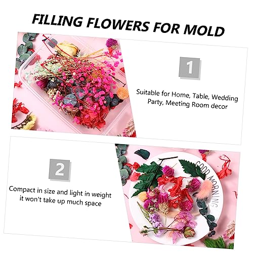 Materiales de flores secas prensadas para manualidades DIY miniatura 7