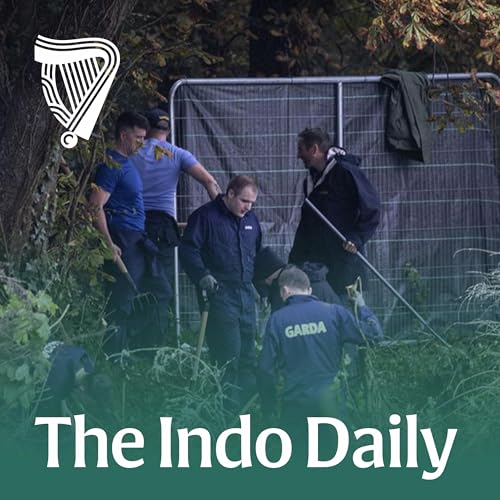 Missing Donabate boy: “The gardaí are here. I’m telling them everything” cover art