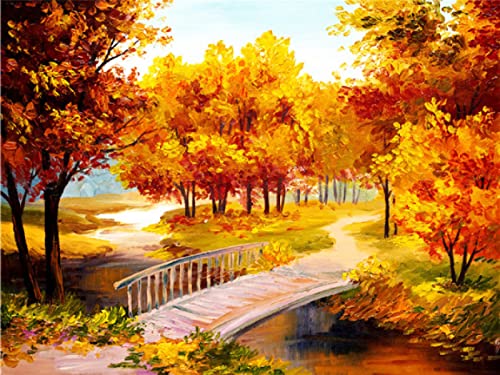 Kit d'art diamant paysage d'automne, le cadeau amusant 30x40cm