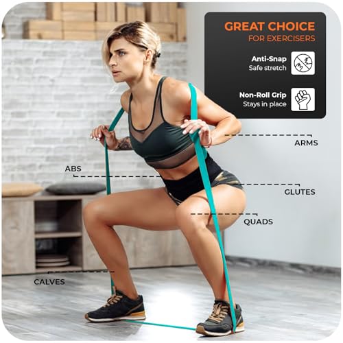 Image of Resistance Bands, Set of 5 Different Levels, Exercise Band for Home Gym, Training and Yoga with Carrying Bag (Mint Green-Blue)