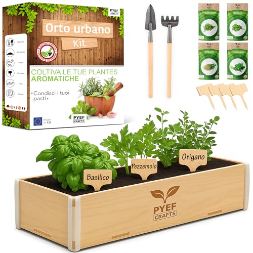 PYEF CRAFTS Kit Orto in Casa Erbe Aromatiche Kit Giardinaggio per...