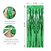 2 Pack Green Foil Fringe Curtains Streamers Party Decorations 3.3 x 8.2 ft, Tinsel Curtain Fringe Backdrop for Parties, Door Fringe Birthday Streamers, Photo Booth Backdrops, Party Decor