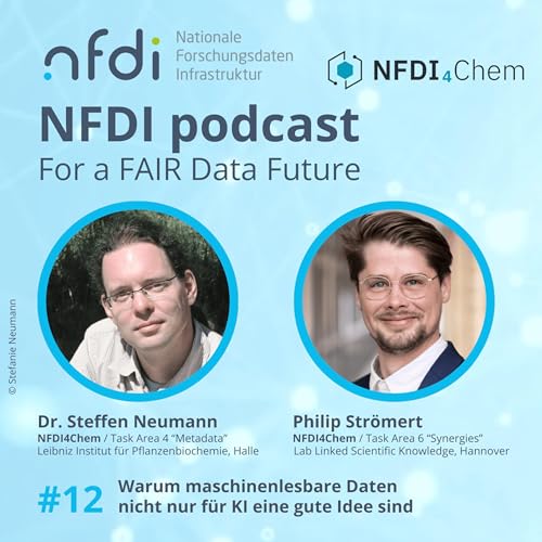 Warum maschinenlesbeare Daten nicht nur f&uuml;r KI eine gute Idee sind