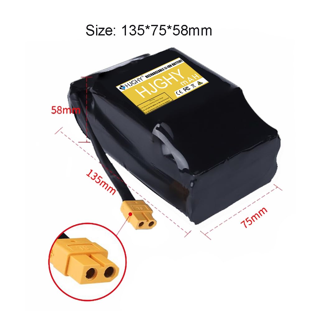 Batterie 36V 4,4Ah pour Hoverboard, Scooter électrique Auto-équilibré, Pack de Batteries Lithium 36 Volts pour Moteur de Scooter à Deux Roues avec X60