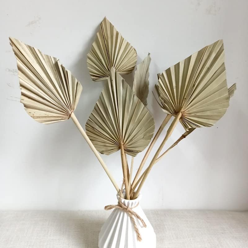 LEEMASING 5 unidades de hojas para ventilador de palmera, flores secas, arreglos florales, decoración del hogar para decoración de bodas boho (original)
