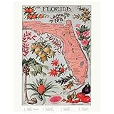 Florida Map Vintage Wall Art 11x14 - Retro Florida State Poster Botanical Illustrations, Colorful Citrus Fruit Everglades State Artwork, Nostalgic Home Decor, Tropical Wall Art for Living Room