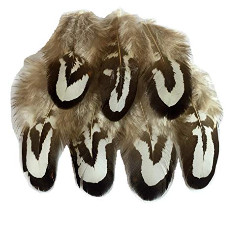 Sowder 50pcs Natural Ringneck Pheasant Plumage Feathers 2-3 Inches Home Wedding Decoration