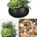 Fake Plants Artificial Succulents in Pots Faux Succulent Arrangement Potted Plant with Black Ceramic Pot for Home Decor Modern Office Desk Bathroom Shelf Living Room Indoor & Outdoor Decoration