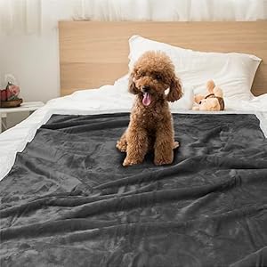   PetAmi-WATERPROOF-Dog-Blanket-for-Bed-XL-Dog-Pet-Blanket-Couch-Cover-Protection-Sherpa-Fleece-Leakproof-Bed-Blanket-for-Crate-Kennel-Sofa-Furniture-Protector-Reversible-Soft-Plush-80x60-Charcoal