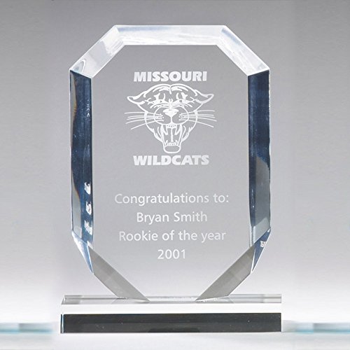 SHOP AWARDS AND GIFTS 12 Inch Trophy Silver Cup on Black Base