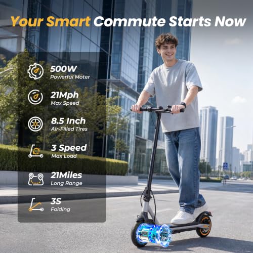 Foldable Electric Scooter 500W Peak