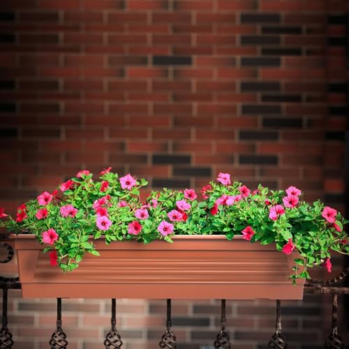 Plastard Blumenkasten 60 cm Terrakotta, Pflanzkasten, Balkonkasten – Ansicht 4