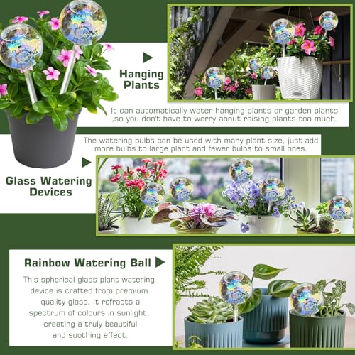 Self watering globes  - image 8