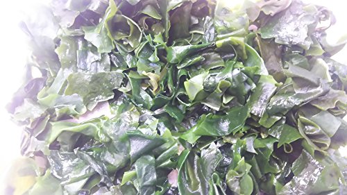 乾燥 カット わかめ 500g×20袋 業務用 大量仕入れ