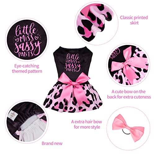 CuteBone Little Miss Sassy Pants Dog Leopard Print Dress Velvet for Small Dogs Girl Puppy Dresses Pink Dog Clothes CVA15XXS-D #1